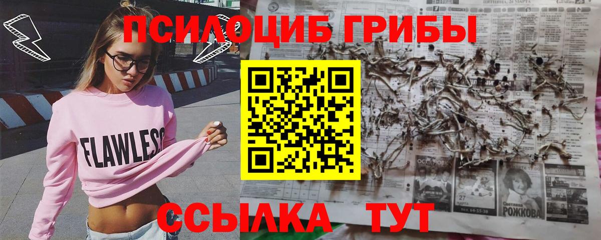 Галлюциногенные грибы MAGIC MUSHROOMS  Вход с VPN  Брянск 