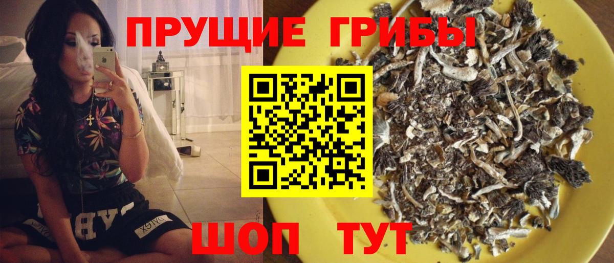 Галлюциногенные грибы GOLDEN TEACHER Брянск